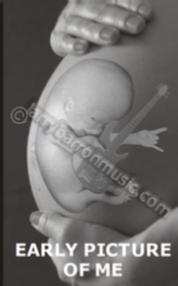 www.larrybarronguitar.com  baby in womb with guitar